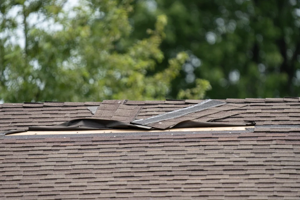 shingles ripped up from a roof