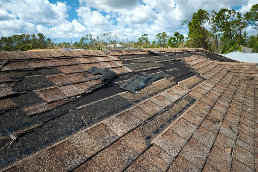 damaged roof