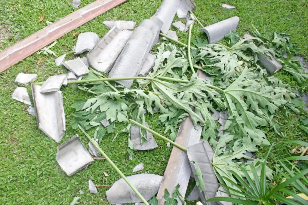 roof pieces and tree branches on ground from storm damage