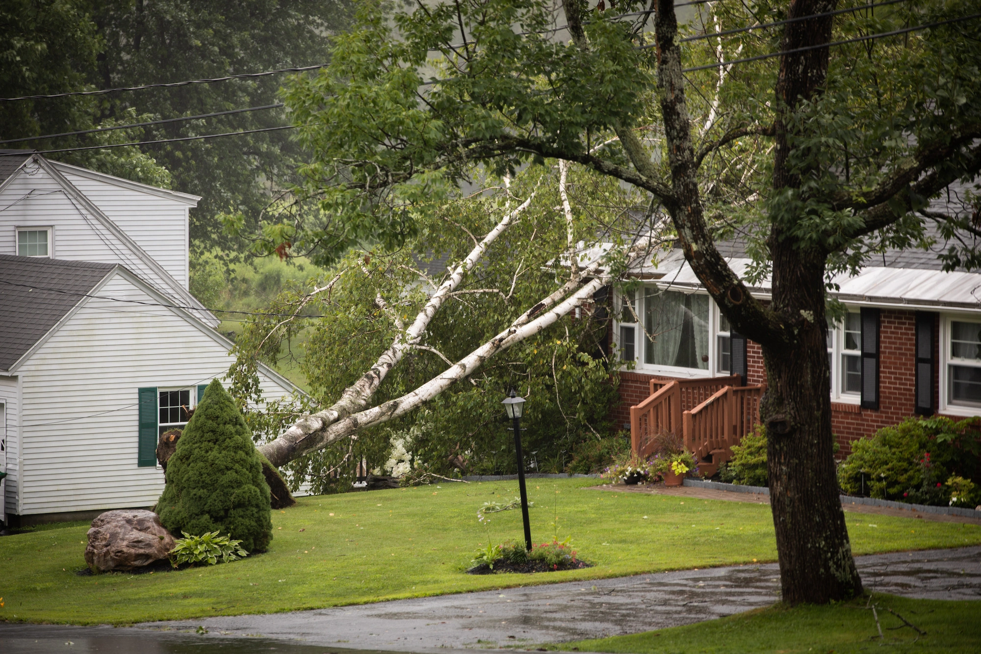 storm damage tree fallen on house