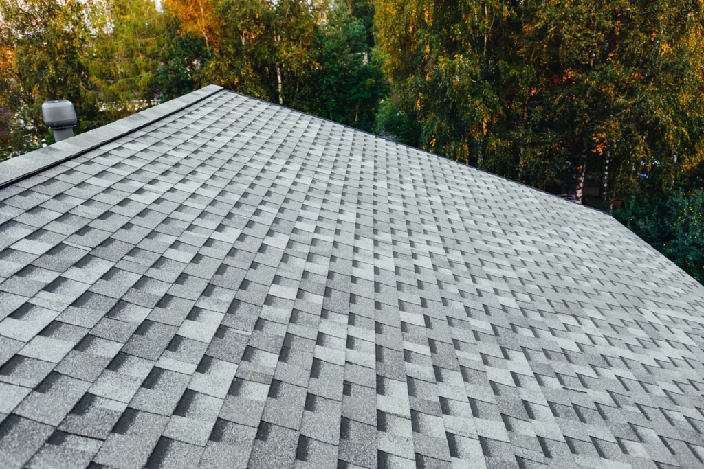 A close-up view of a grey shingled roof with lush green trees in the background suggests a sunny day in a wooded area. The scene inspires thoughts on how to measure a roof for shingles, capturing both beauty and practicality.