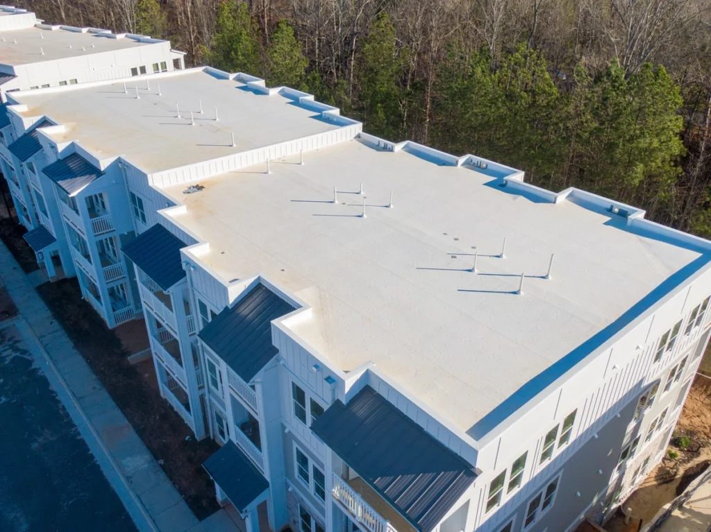 TPO roof with trees