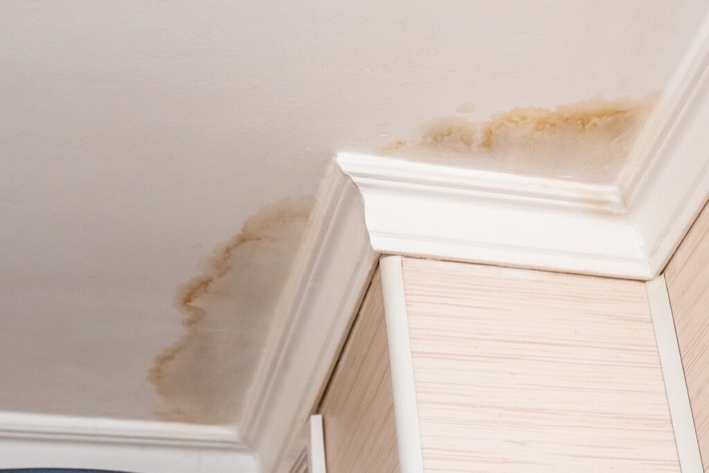 Stains and water damage are visible on a white ceiling near the corner, above the crown molding, indicating a possible leak and the need to consider roof leak repair cost. 