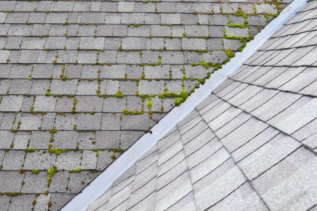 A rooftop with two sections: one side covered in gray shingles with patches of green moss; the other side clean with new-looking gray shingles. The sections meet at a white roof valley.