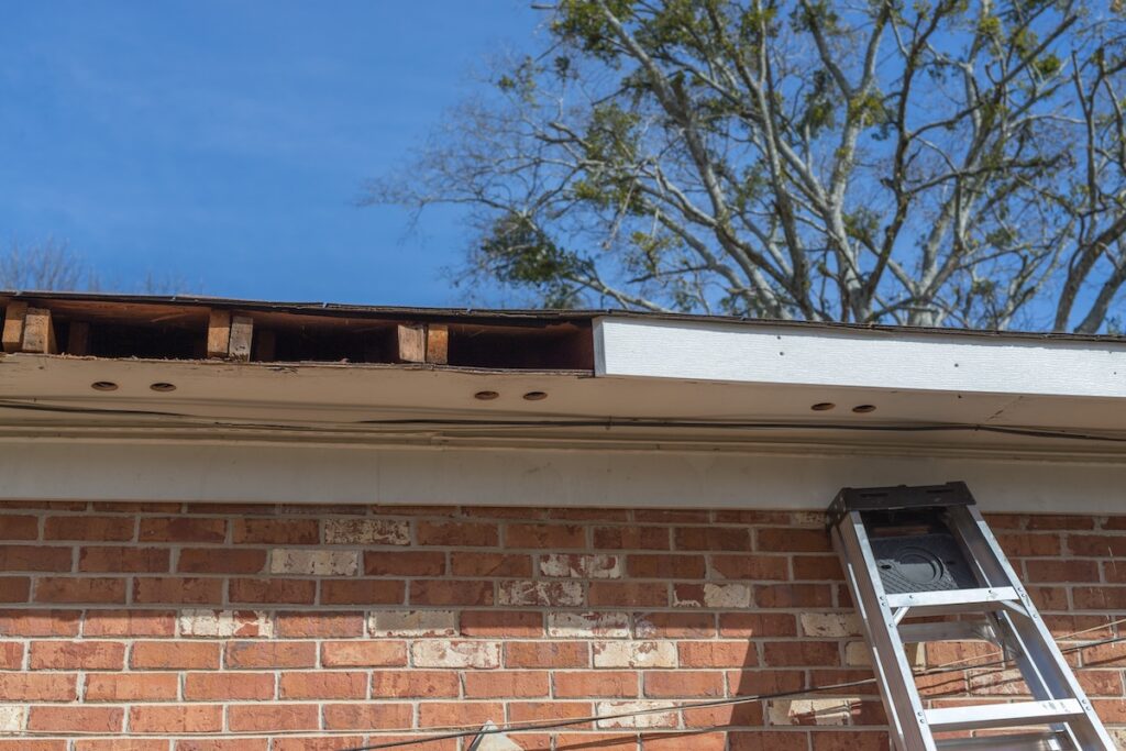 Replacing Rotten Facia Board