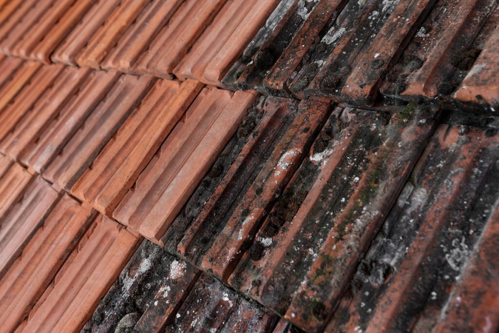 Close-up view of red clay roof tiles, with some tiles on the right side appearing weathered, darkened, and covered in mold