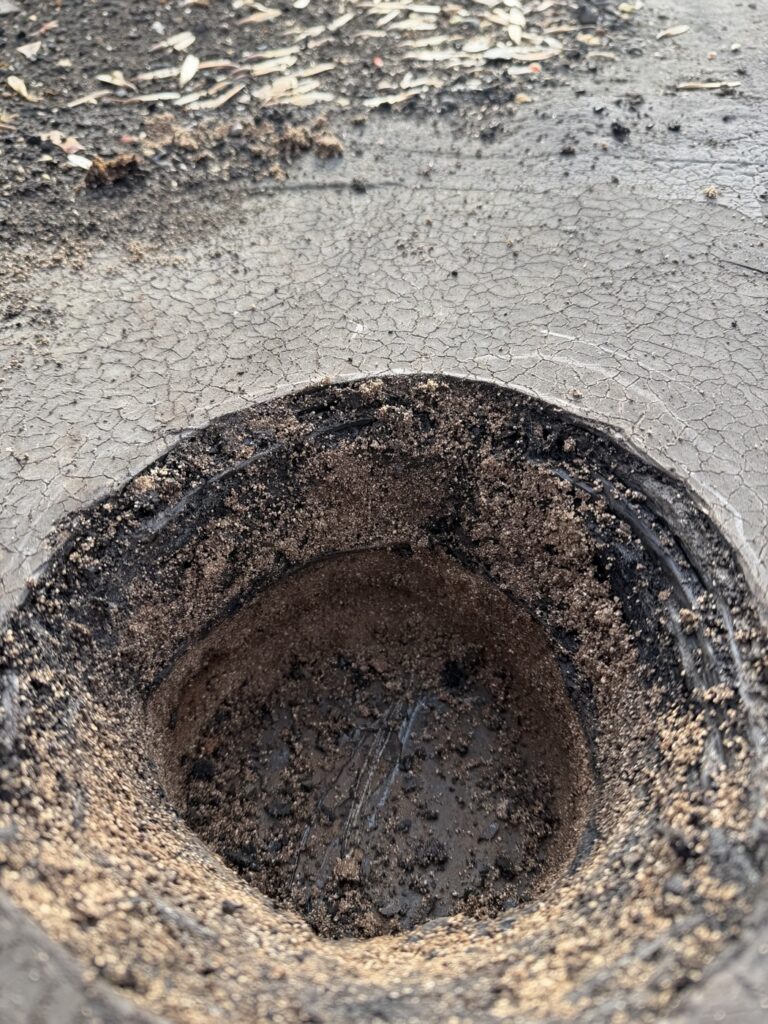 flat roof drain repair newtown square PA