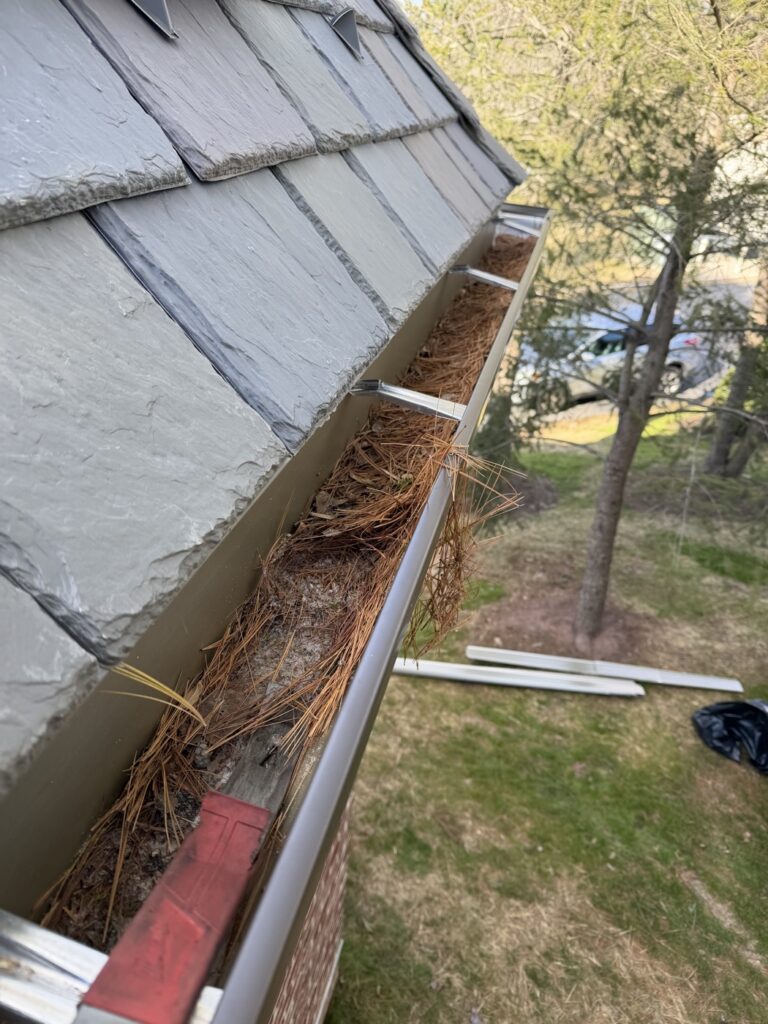 flat roof repair wayne PA