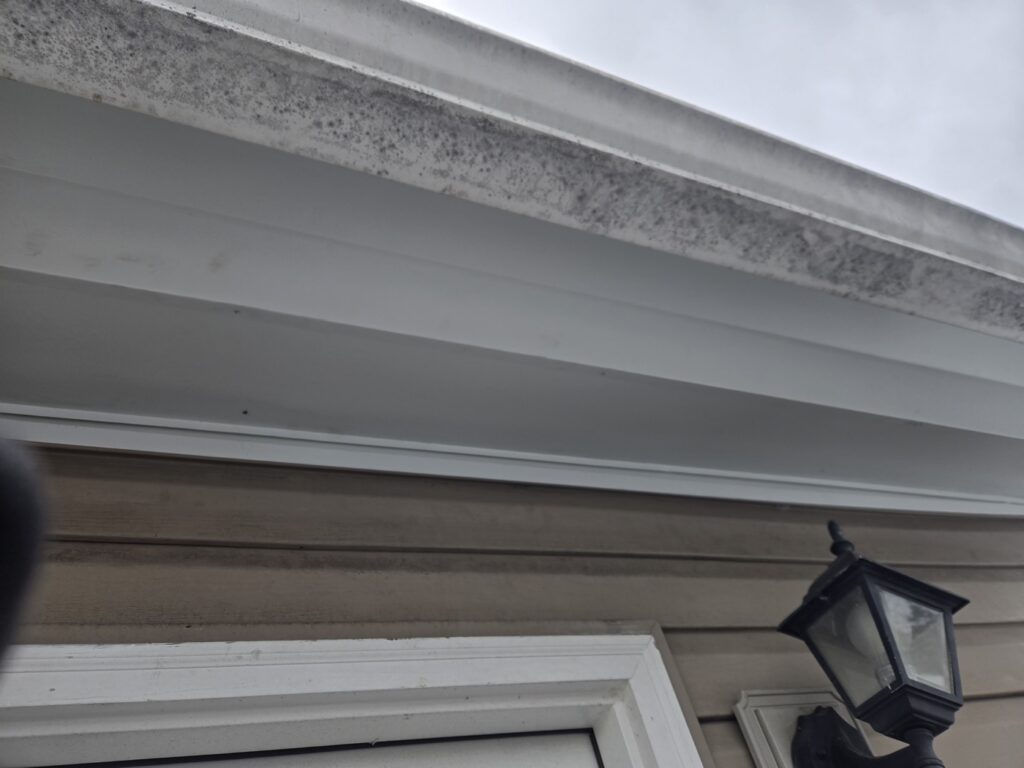 gutter fascia repair haverford PA