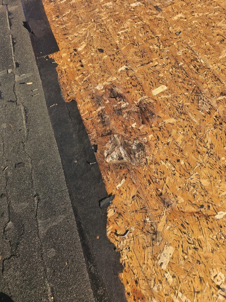 shingle roof replacement broomall pa