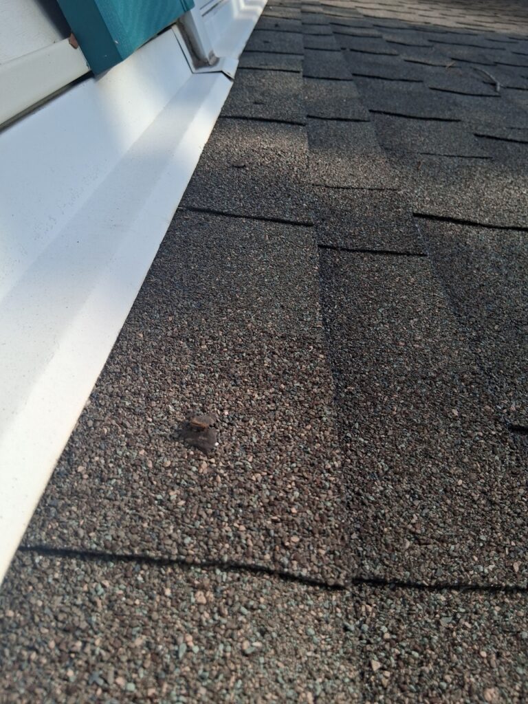 Shingle Roof Replacement – Glenside, PA