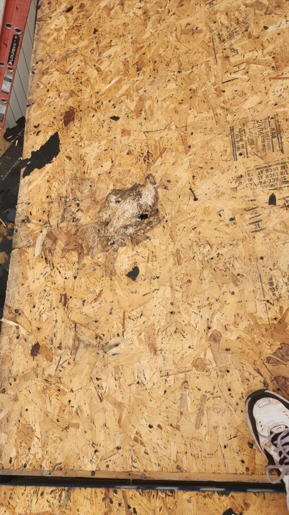 siding exterior pottstown pa